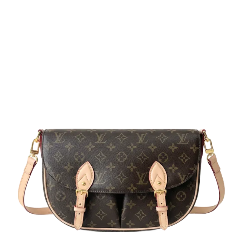LU bag Monogram 30 cm