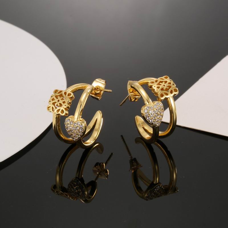 LOEVE Fashion Earrings