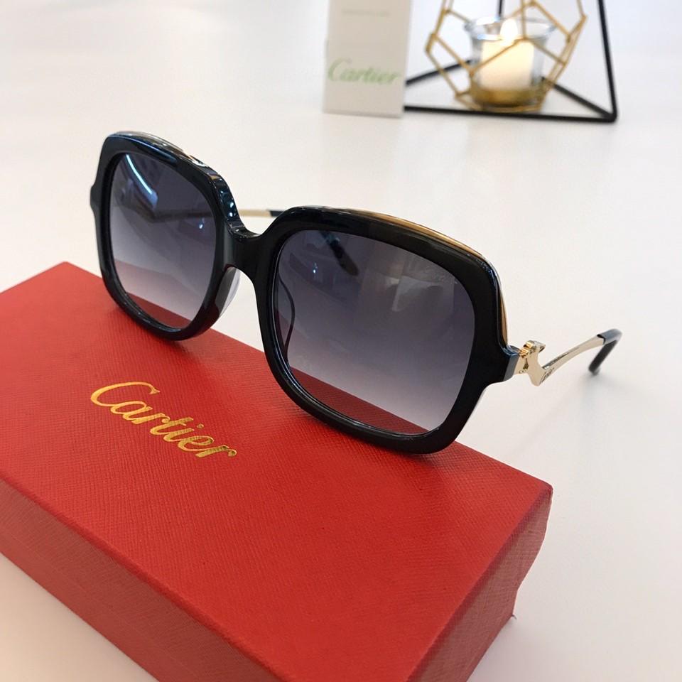 Cart Sunglasses 2 Color