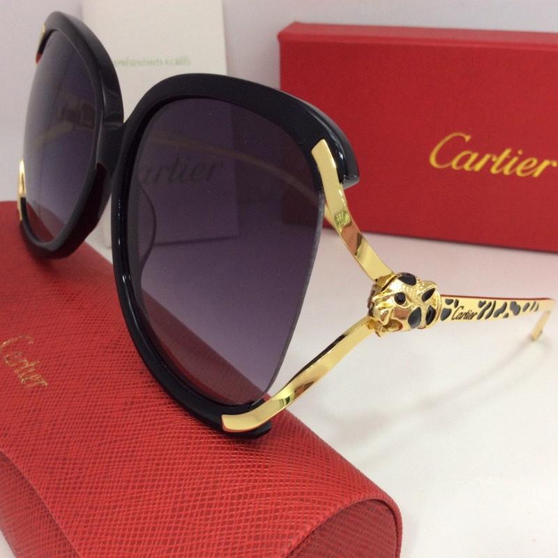 Cart Sunglasses 2 Color
