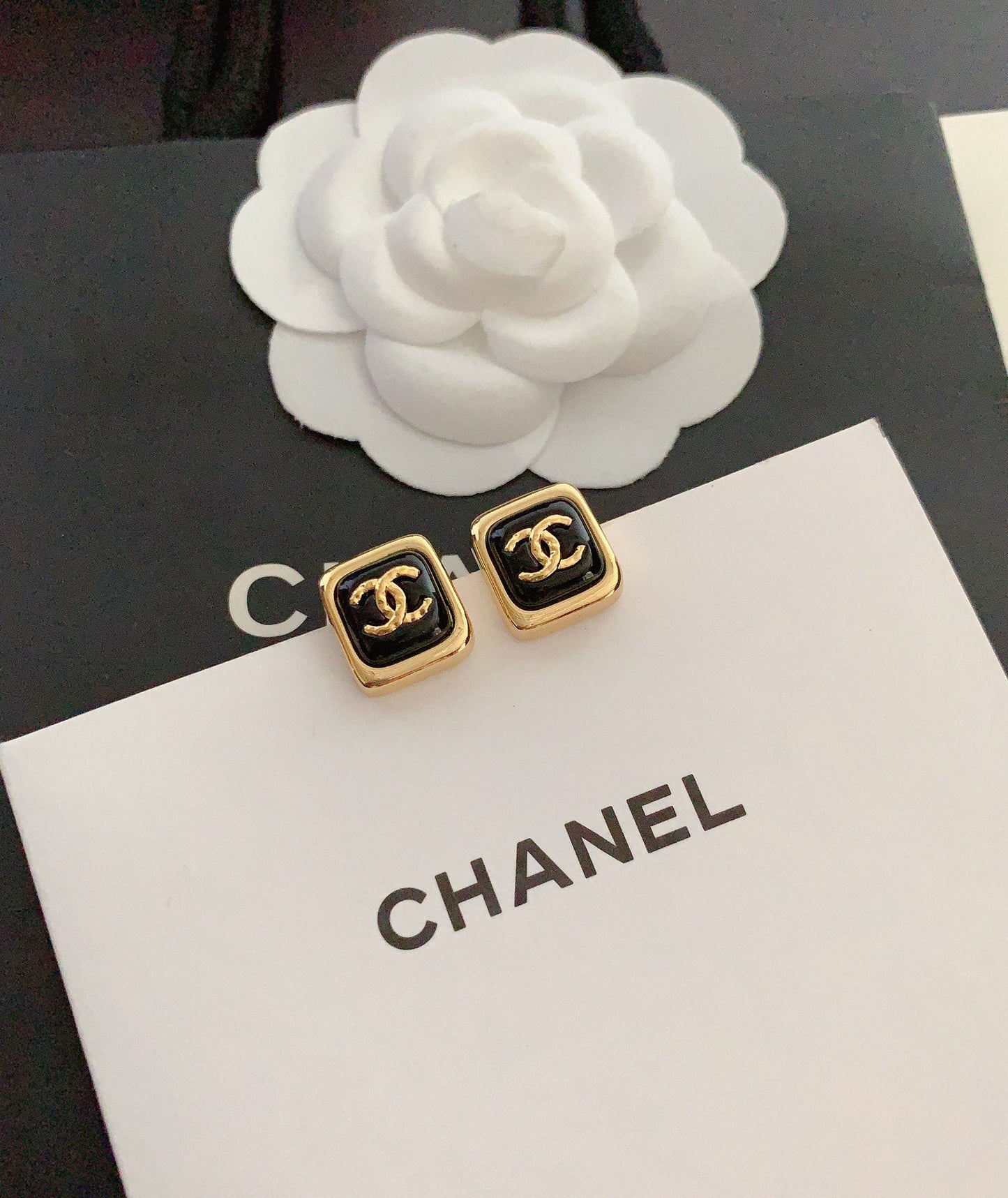 CHL Earrings 2 Color 's Stud