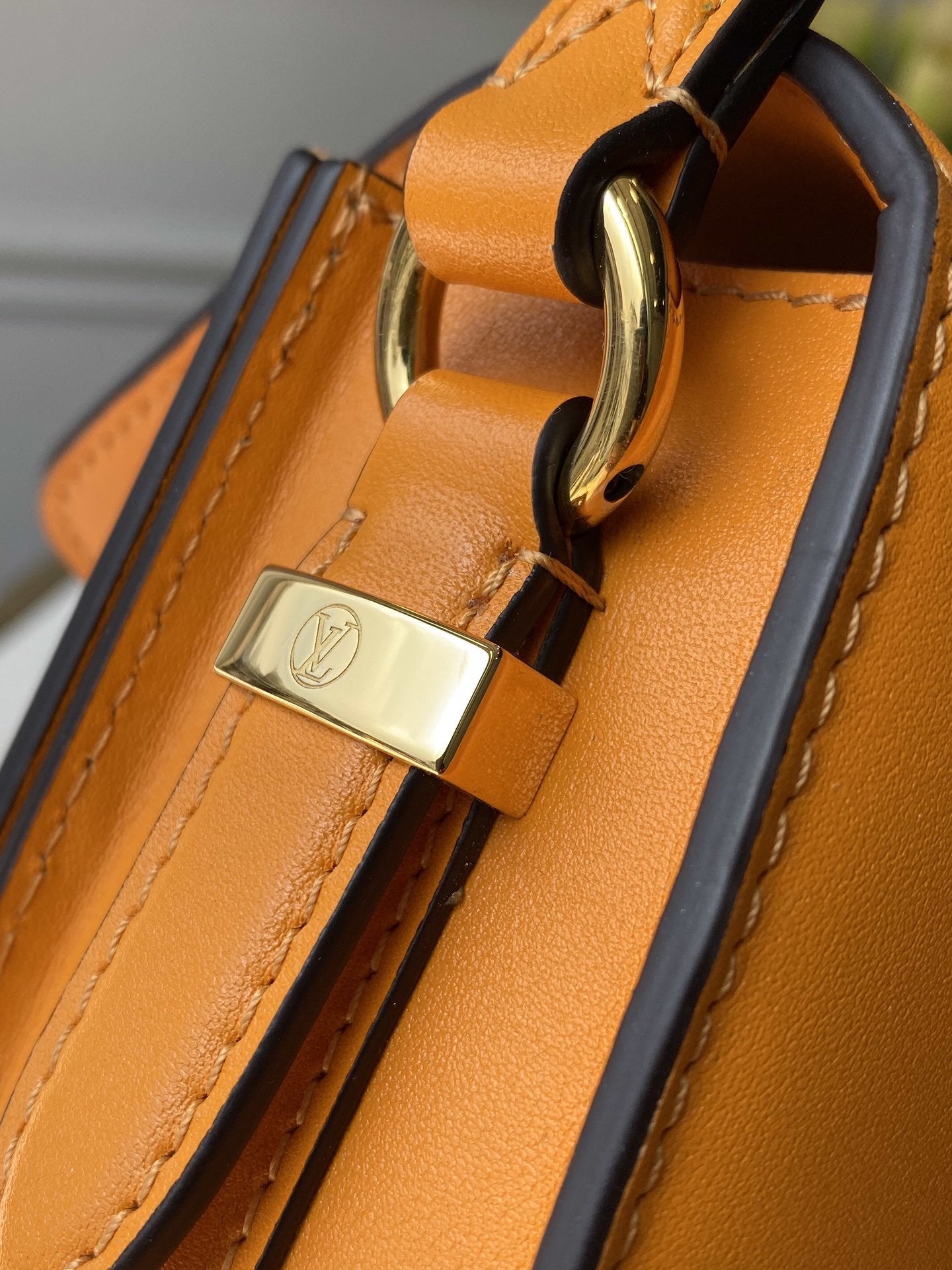 LU Bag