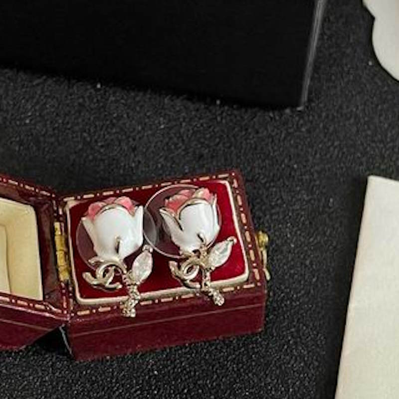 CHL Fashion Earrings