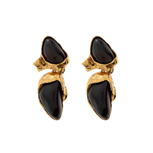 Y L Fashion Earrings