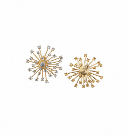 CHL Fashion Earrings