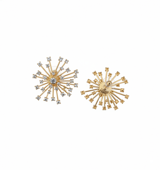 CHL Fashion Earrings
