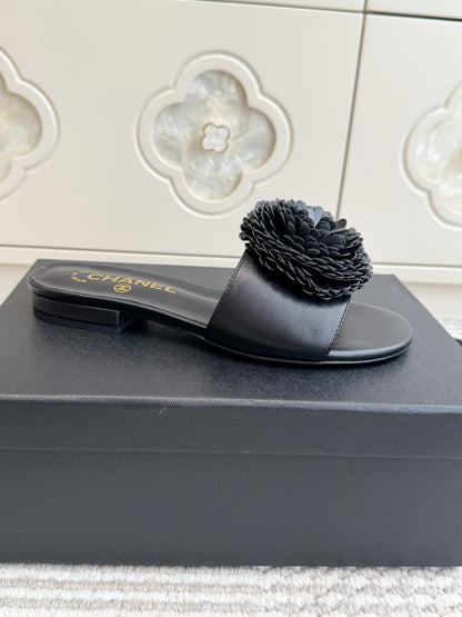 CHL  Slippers  Sandals  Woman 2 Color's