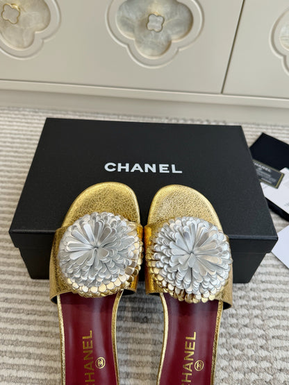 CHL  Slippers  Sandals  Woman 2 Color's