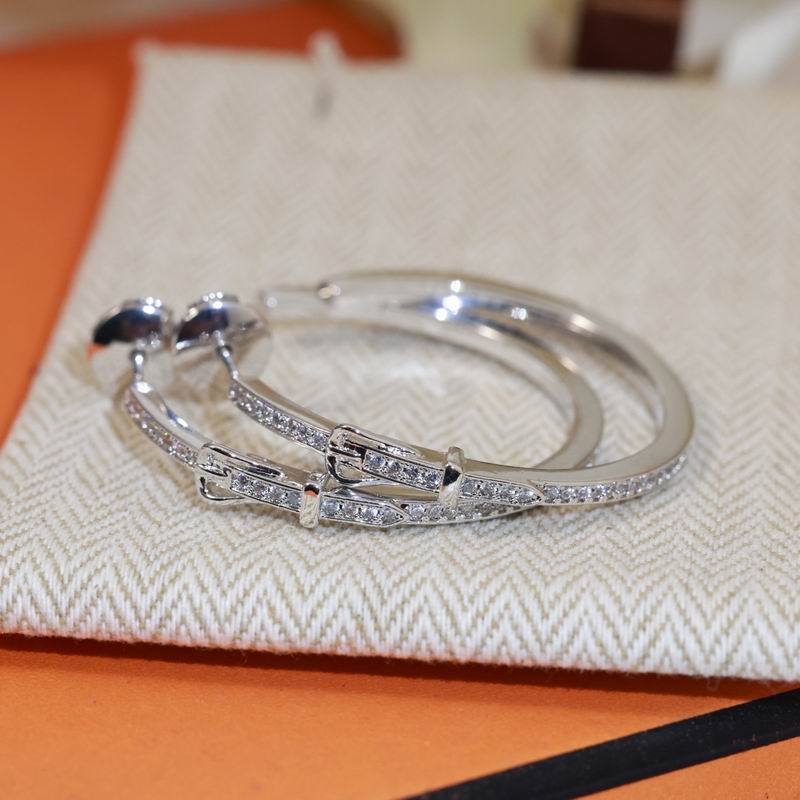 HRM Fashion earrings