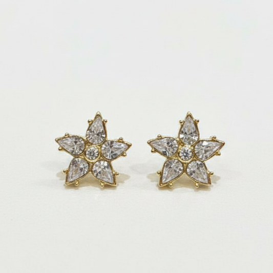 CHL Earrings SALE-min order required