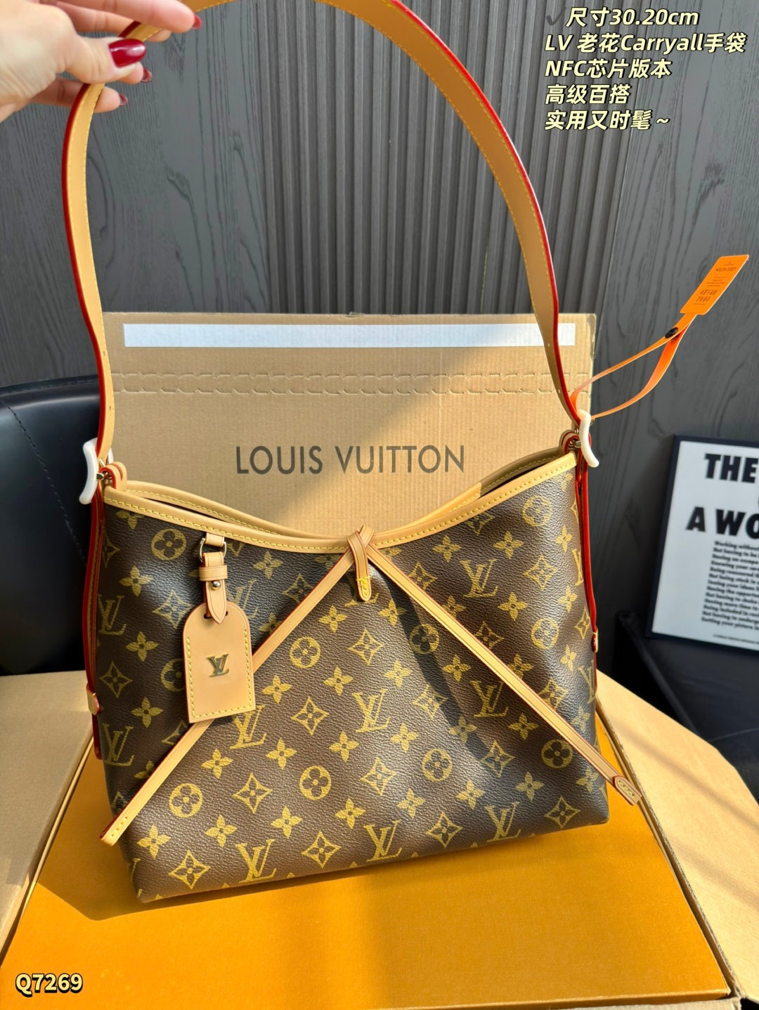 LU  Bag Monogram 30 cm