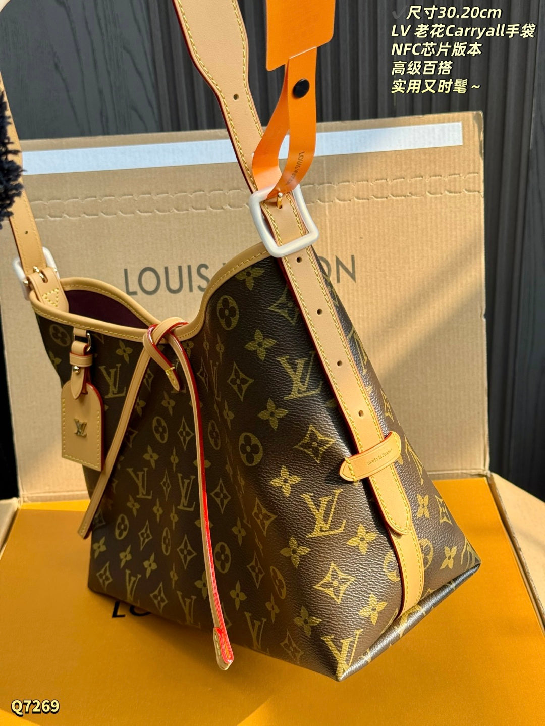 LU  Bag Monogram 30 cm