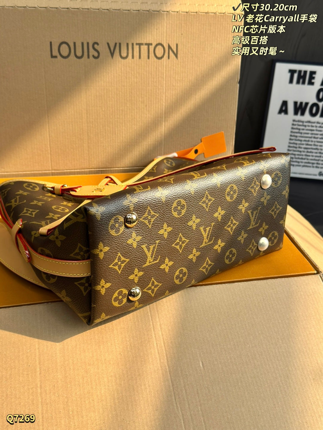 LU  Bag Monogram 30 cm