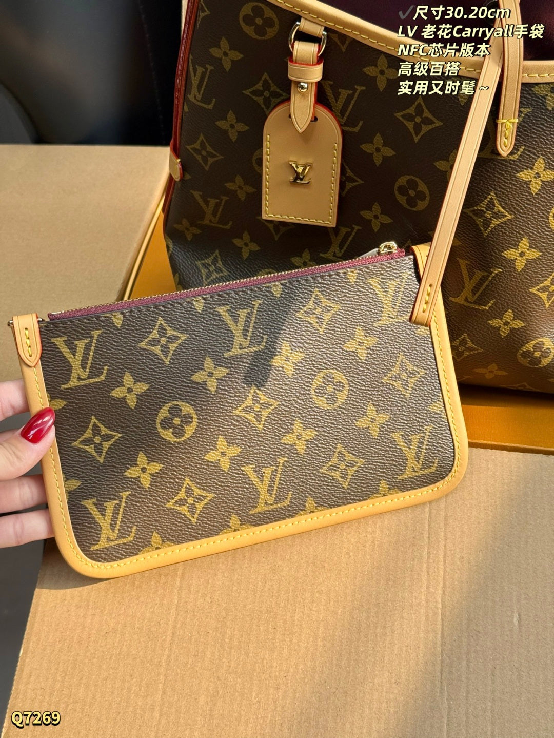 LU  Bag Monogram 30 cm