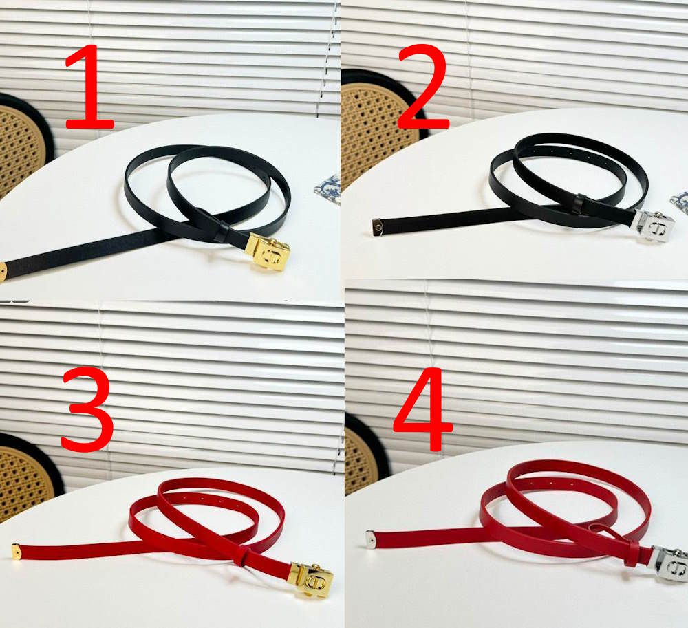 CHD  Belt  4 Color 's