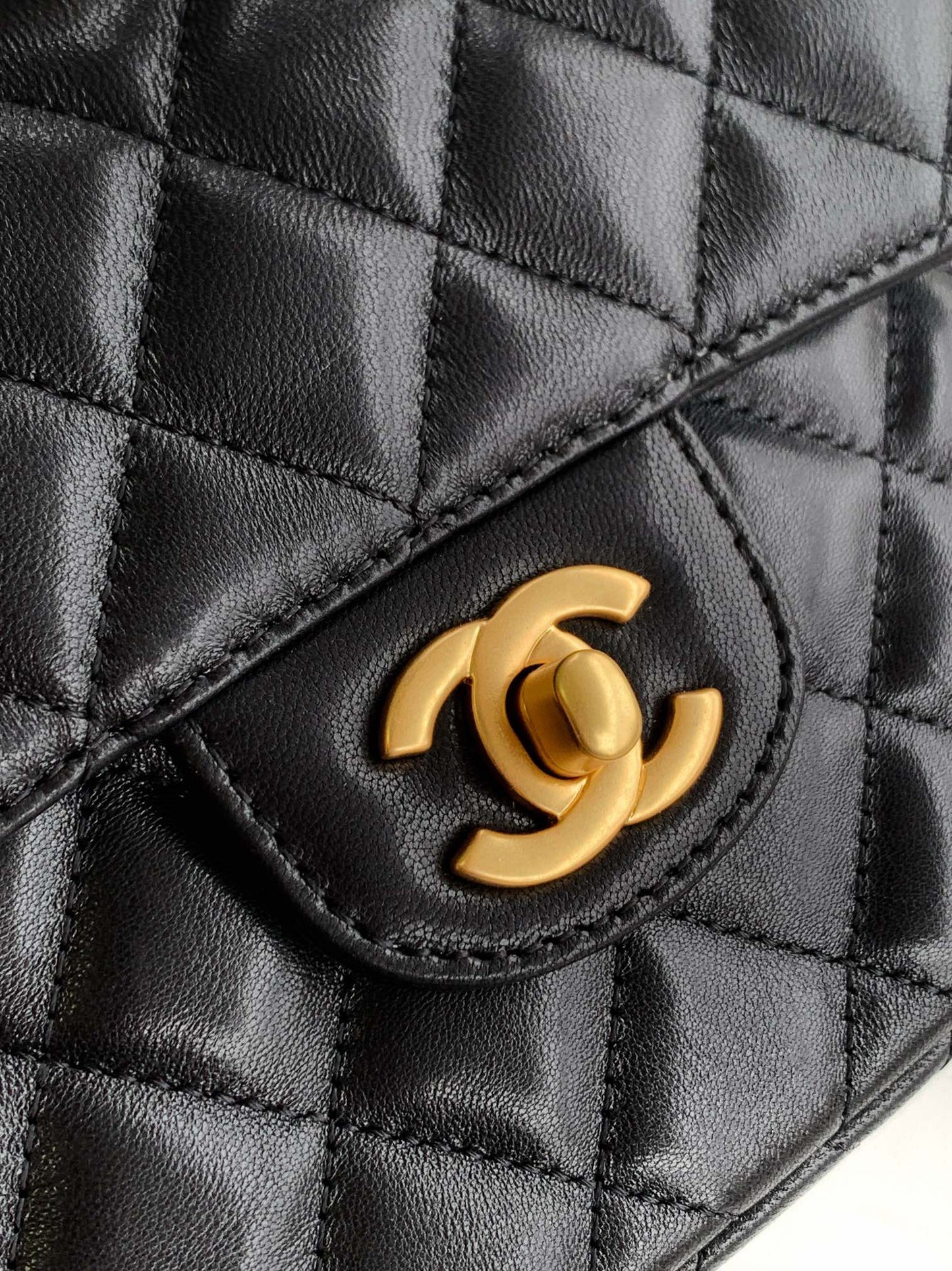 CHL Bag 20 cm