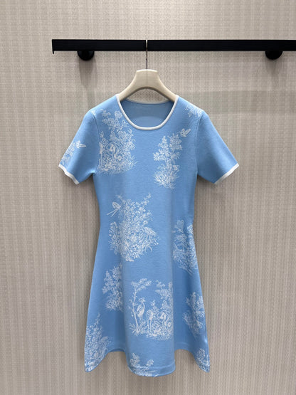 CHD Woman  Dress 2 Color's
