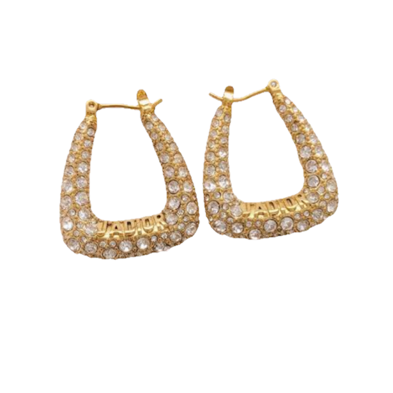 CHD Fashion Earrings