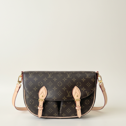LU bag Monogram 30 cm