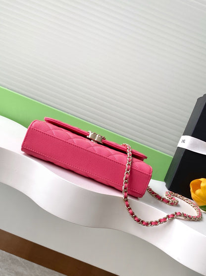 CHL phone case Bag  18 cm 5 Color's