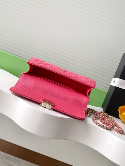 CHL phone case Bag  18 cm 5 Color's
