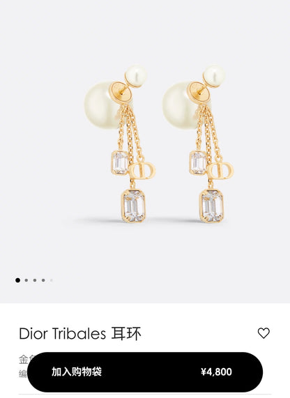 CHD Fashion earrings