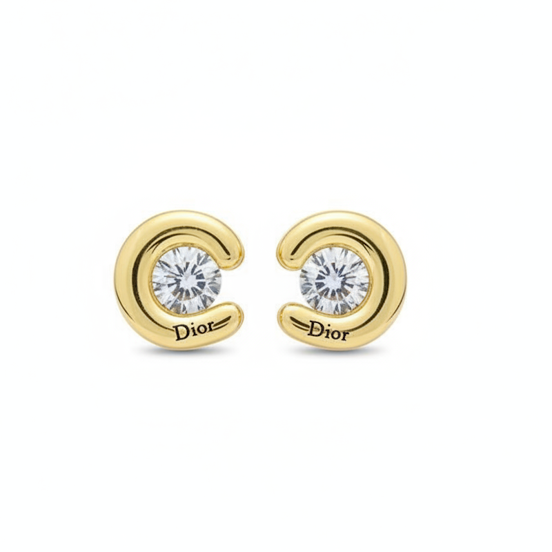 CHD Fashion Earrings 2 Color's