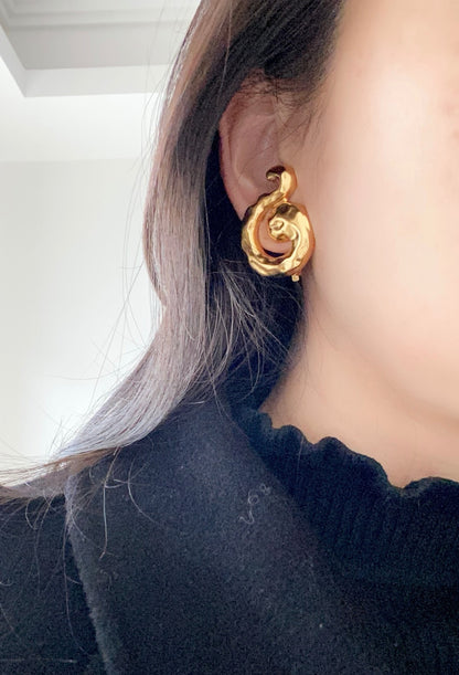 Y L Fashion Earrings