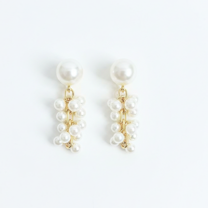 CHD Fashion Earrings