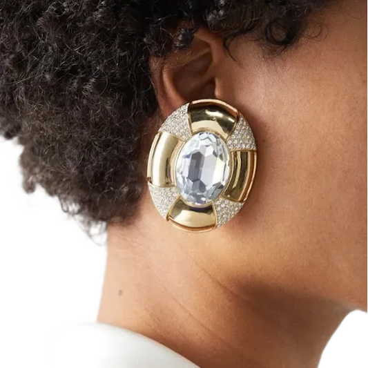 Y L Fashion Earrings