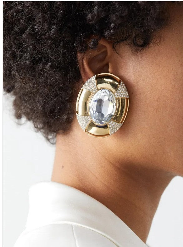 Y L Fashion Earrings