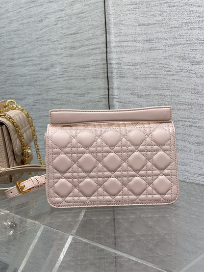 CHD Bag  2 Color's 22 cm