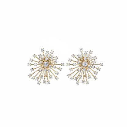 CHL  Fashion Earring