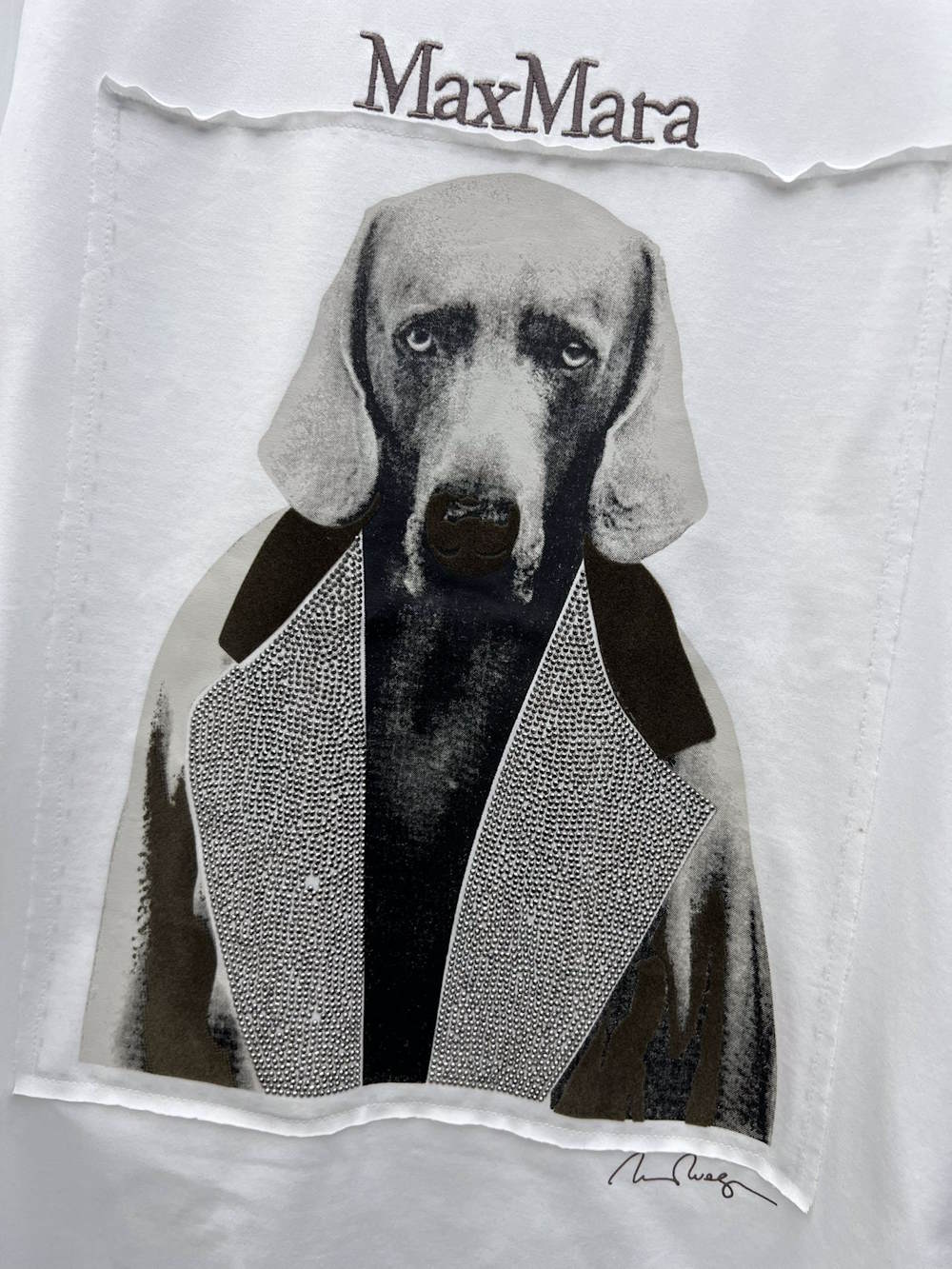 MAX  T- shirt  2 Color 's Special IOF