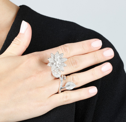 VAN C & A  Ring 2