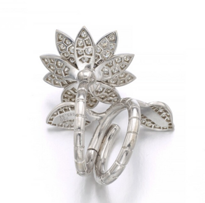 VAN C & A  Ring 2