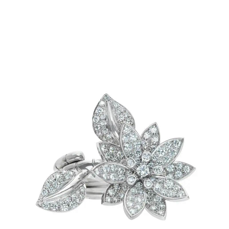 VAN C & A  Ring 2
