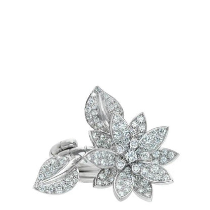 VAN C & A  Ring 2