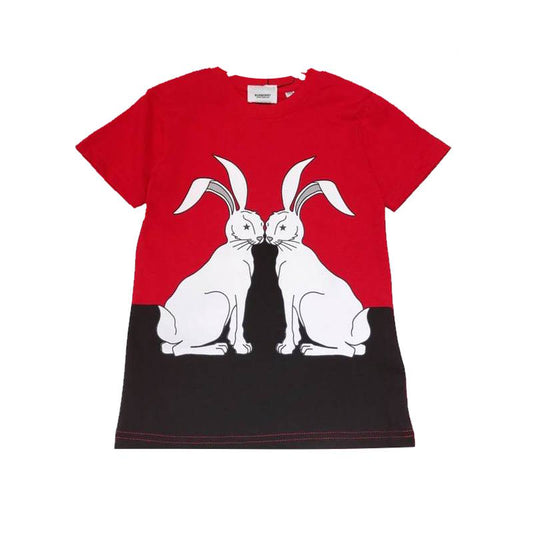 *BURBBER T -shirt