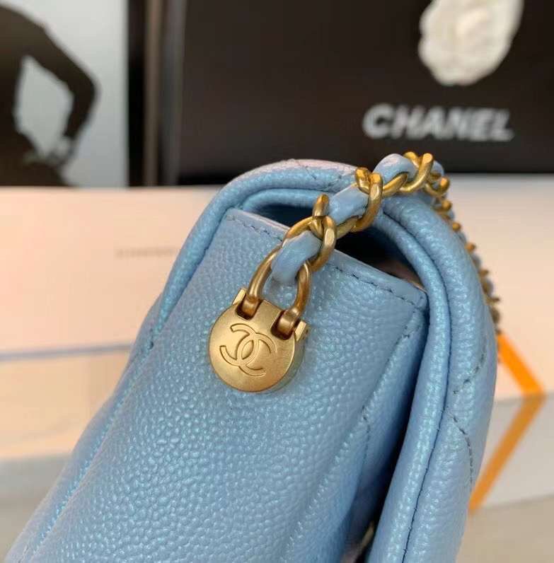 CHL Bag  20 cm