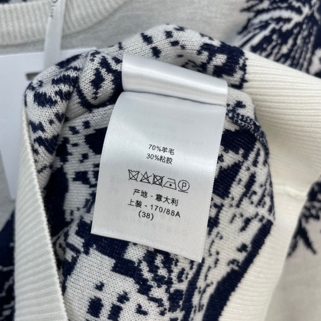 CHD Sweater Woman