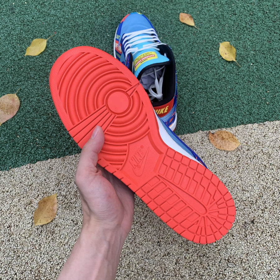 N^ke DUNK Sneakers Low  Disrupt
