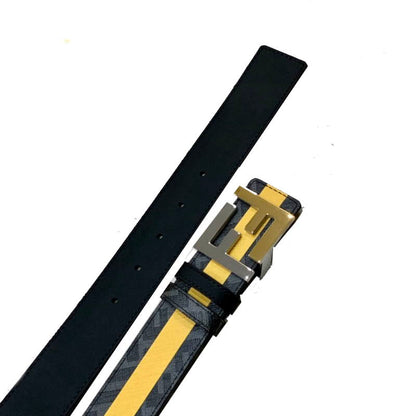 FEN  Belt  4 Color 's