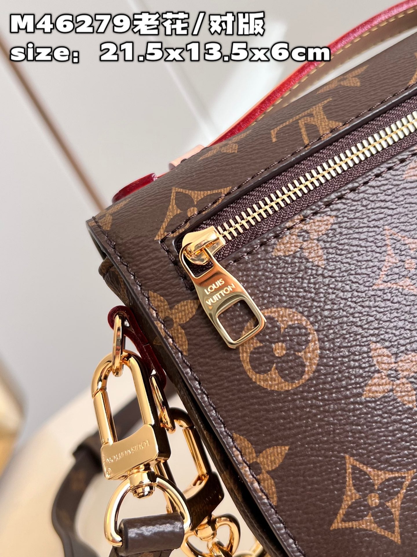LU Bag 21 cm Monogram