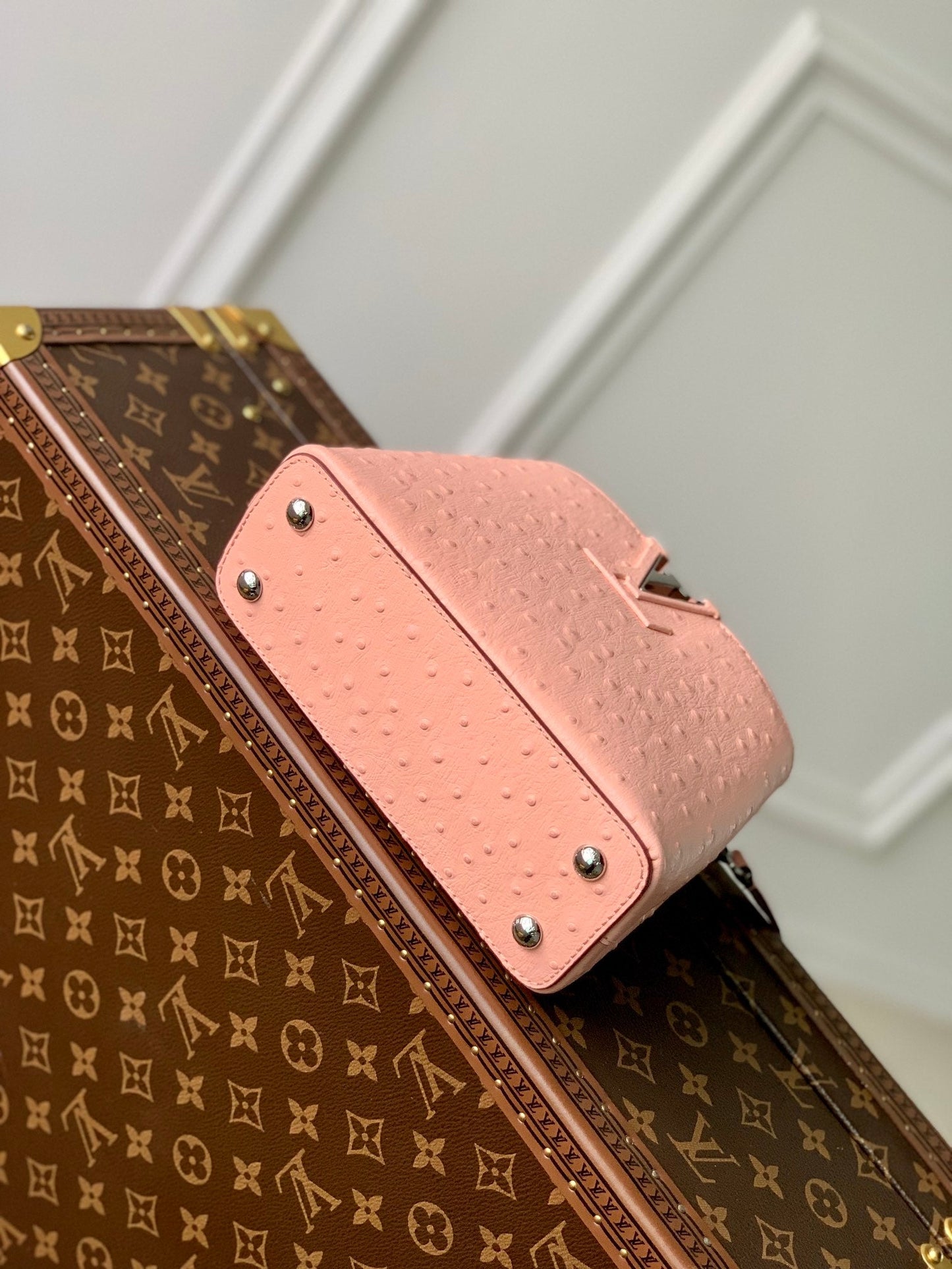 LU Bag  2 Color 's  Ostrich
