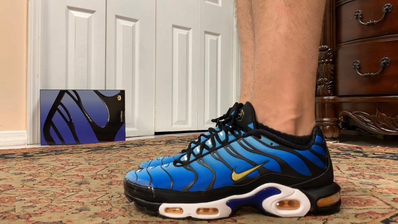 N*ke Air Max Plus  Sneakers TN Trainers Blue