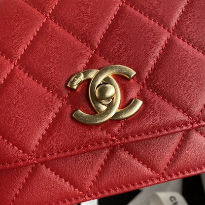 Chl Bag Velvet 3 Colors Different Sizes