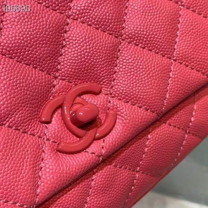 CHL Bag 2 Color's 19 Cm Handle