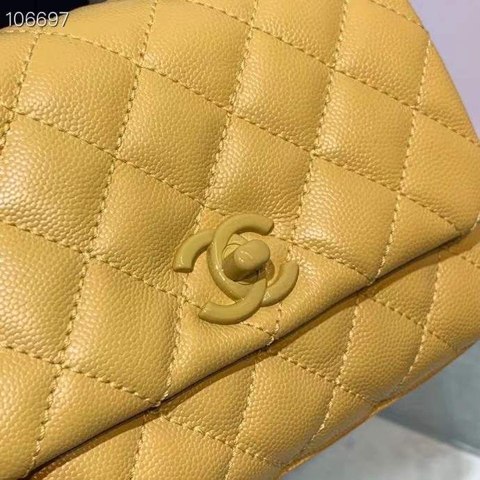 CHL Bag 2 Color's 19 Cm Handle