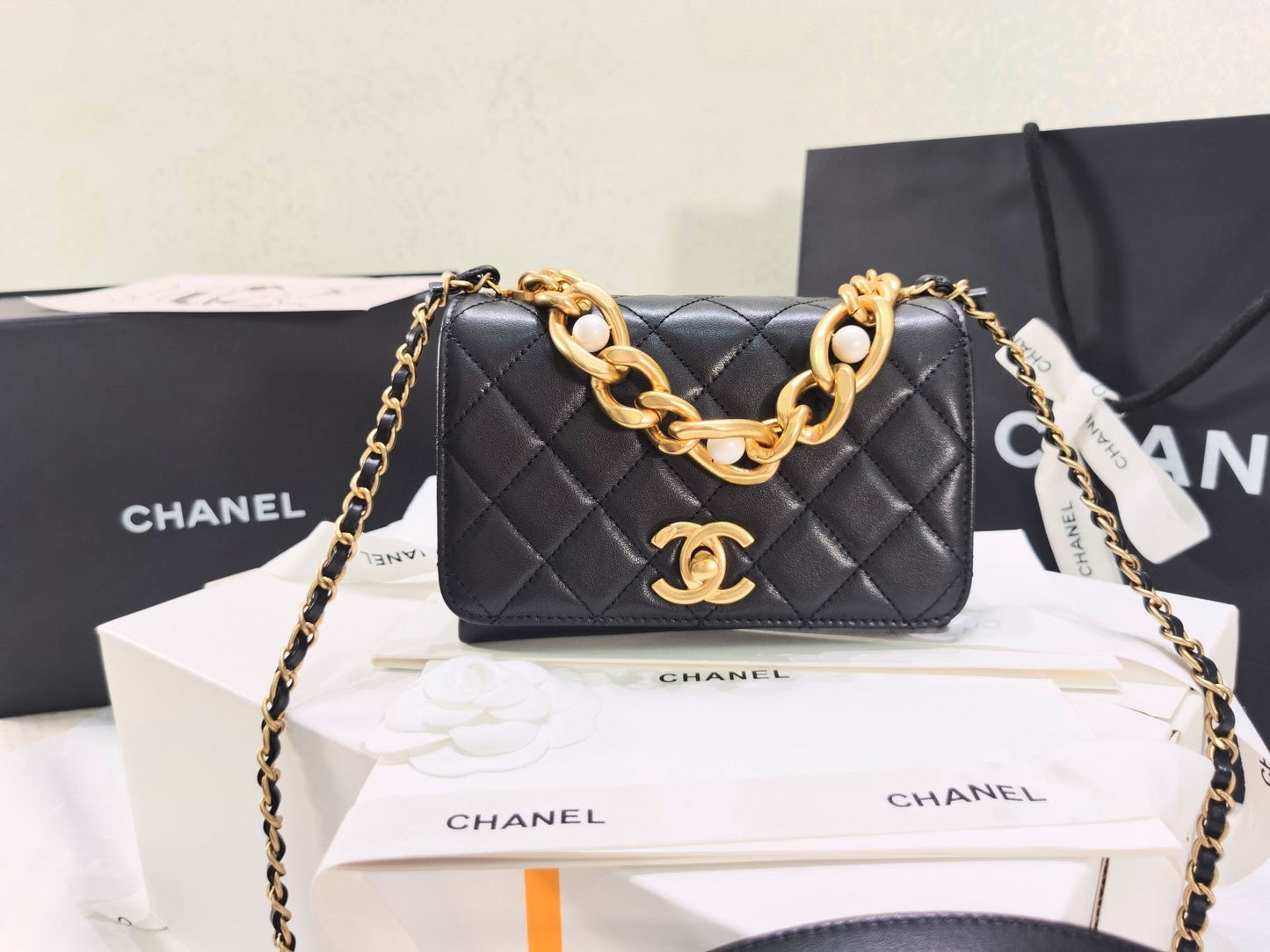CHL Bag 2 Color 's  20 cm
